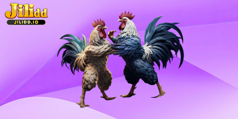Experience the Thrill of Casino JILIDD Sabong – Cockfighting Online Anytime