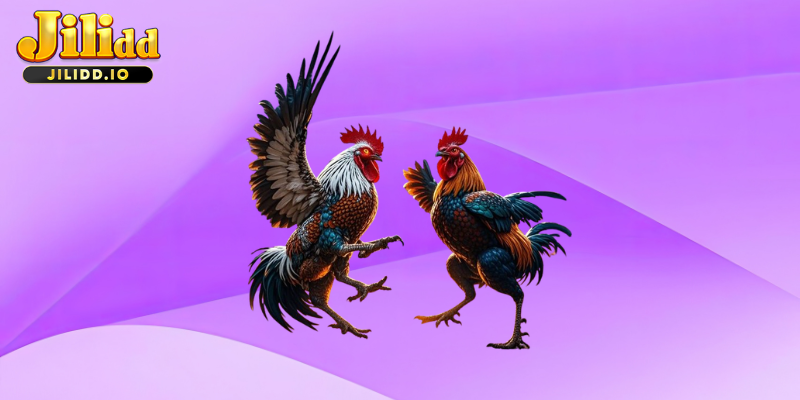 How to Start Playing Sabong at Casino JILIDD